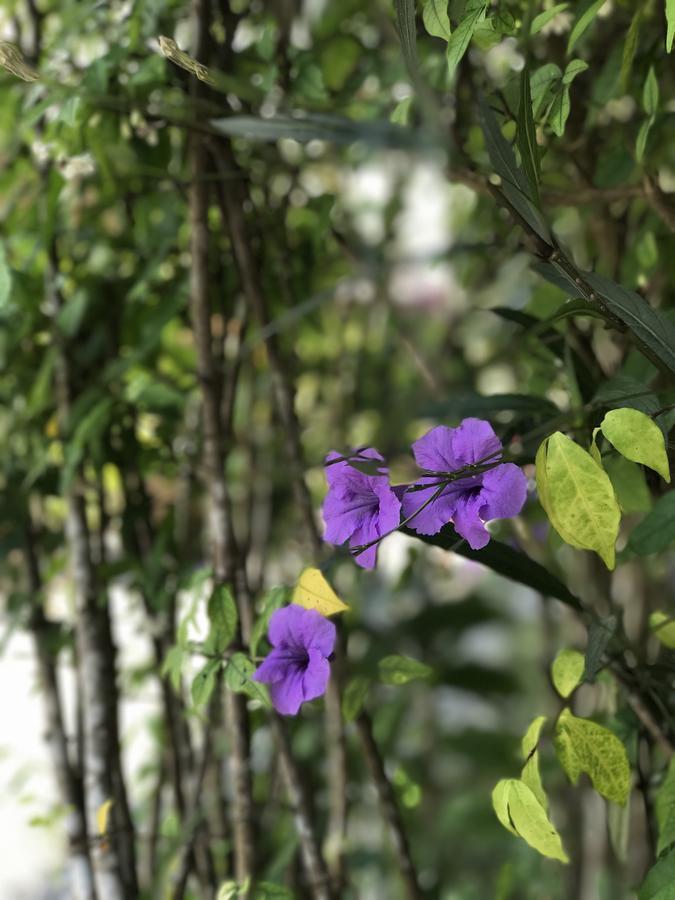 Ao Nang, Bang-On Resort מראה חיצוני תמונה